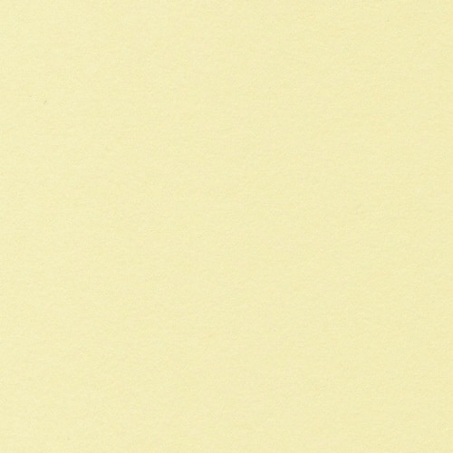 ベーシックカードL#14 クリーム