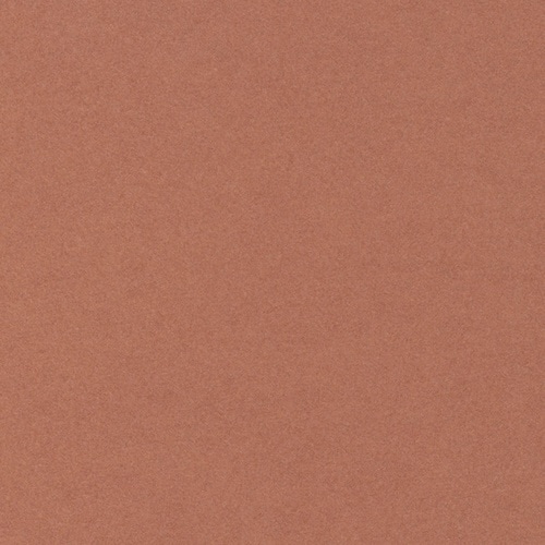 ベーシックカードP#15アンバーRD