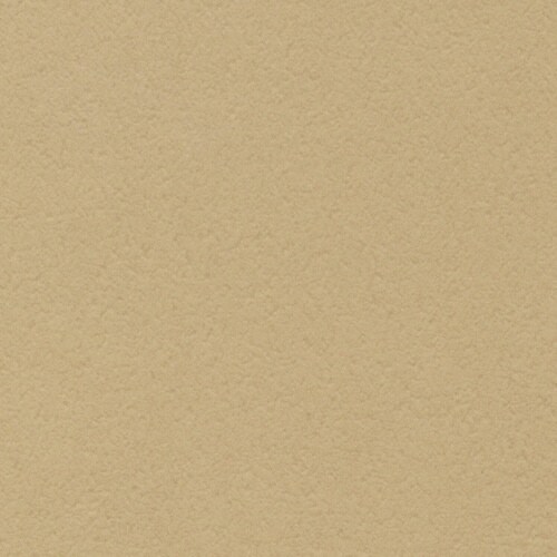 プレーンカードS #4 ベージュ