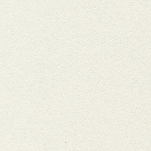 プレーンカードP #1 GYミスト