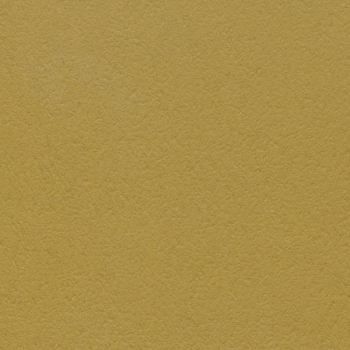 プレーンカードP #6 キャメル