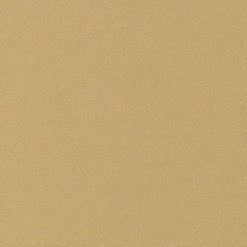 ベーシックカードP#6 キャメル