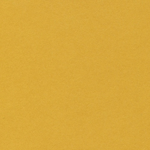 ベーシックカードP#7 マスタード