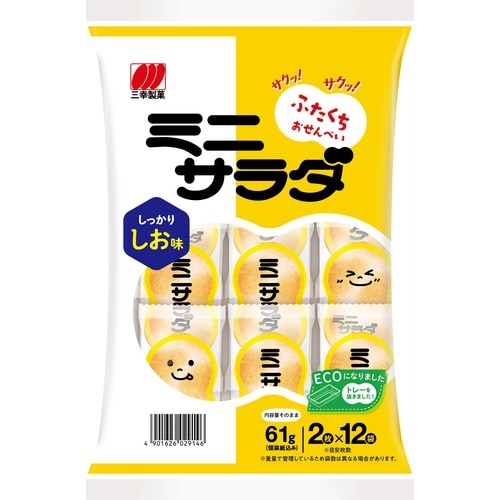 ミニサラダ しお味24枚 16袋