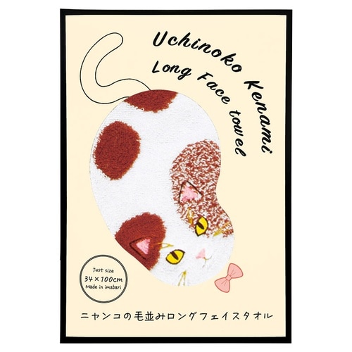 毛並みロングフェイスタオル×3