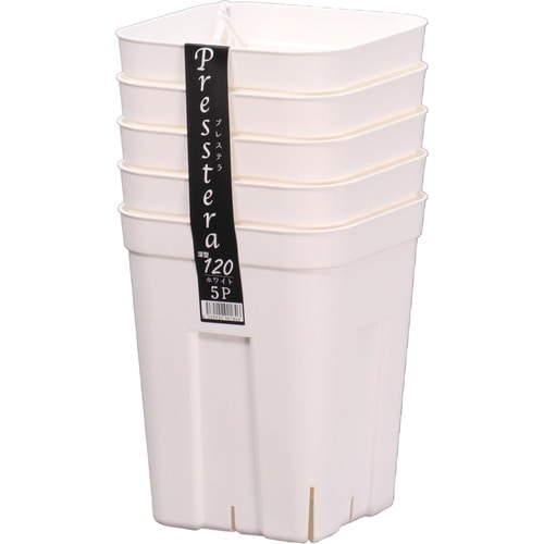 プレステラ 深型120 5個組 ホワイト
