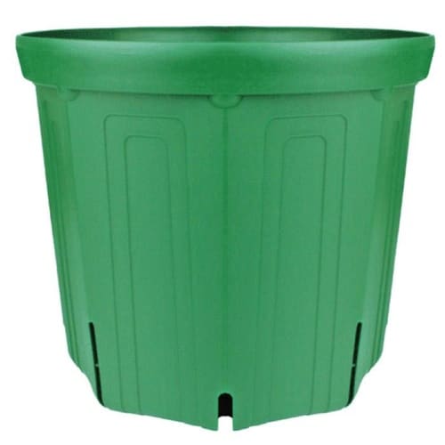 スリット鉢 CSM−270 モスグリーン