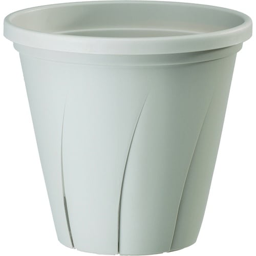 根はり鉢 6号 ホワイト