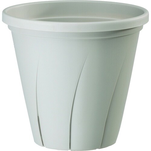 根はり鉢 10号 ホワイト