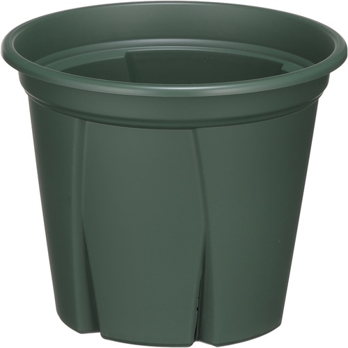 根っこつよし 5号 グリーン