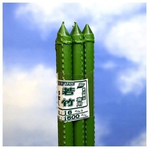 若竹 5本パック 16x1500