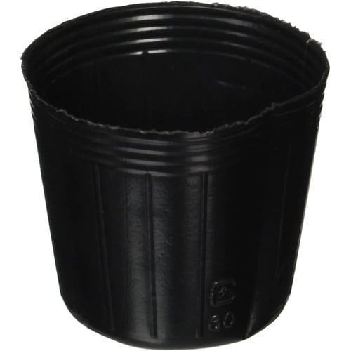 ポリポット 100P(ポリ鉢 黒) 6cm