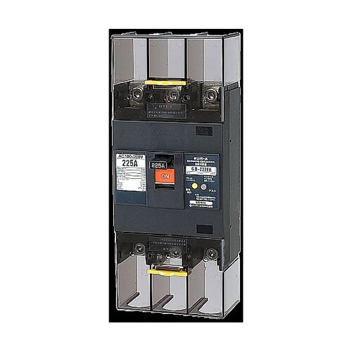 222EA12W2L 漏電遮断器時延形