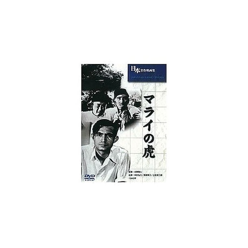 マライの虎 BUK−039