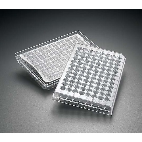MSHAN4510 MULTISCREE