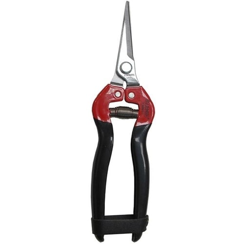 クラシック ステン芽切鋏 直刃