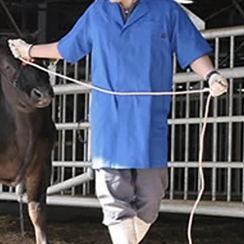 畜産コート【半袖・薄地】半袖ネイビーL