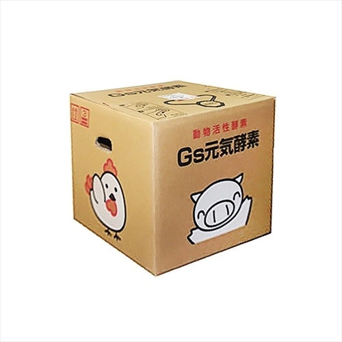 Gs元気酵素【動物活性酵素】10L