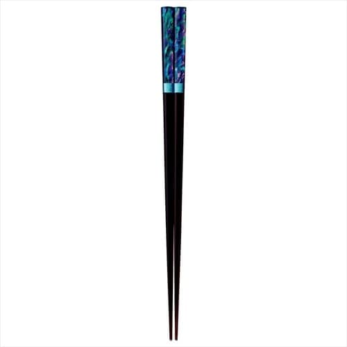 まぼろし貝 23cm