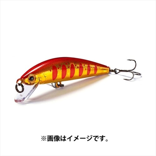 トラウトチューン 55F AKY アカキンヤマメ