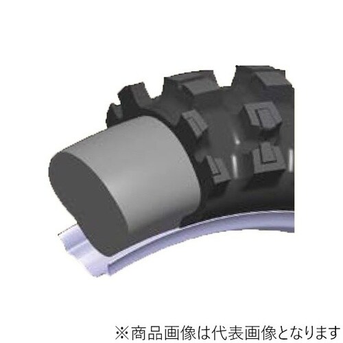 FM19L フルムース