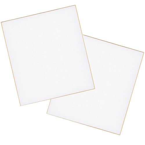 色紙 画仙 2枚入×25