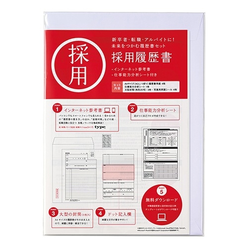 採用履歴書 A4×10