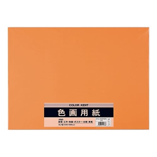 色画用紙 N471 オレンジ×10
