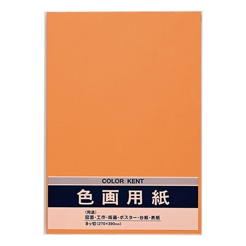 色画用紙 N871 オレンジ×10