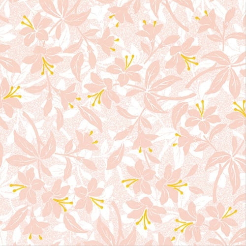 包装紙 FDラップ ティナ×100