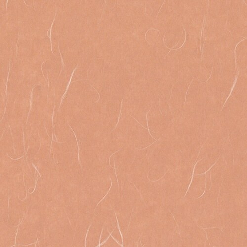 包装紙 Bラップ 絹雲 べんがら×50