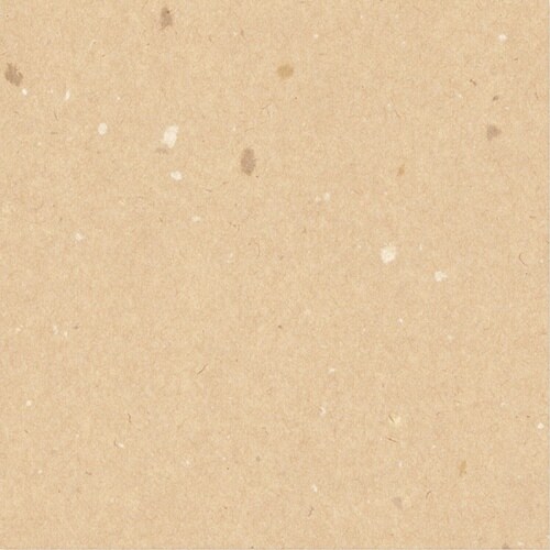 包装紙 Bラップ 木の花 くり×50