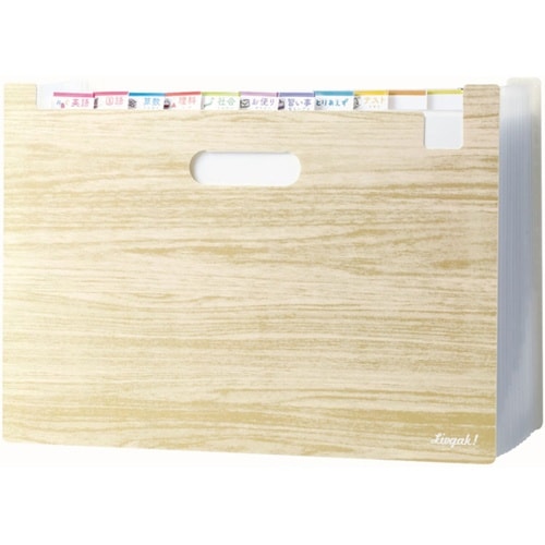 収納 リビガク ポイ分けBOXファイル