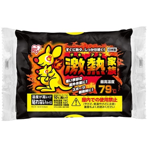 激熱家族 貼れないレギュラー 10個入り
