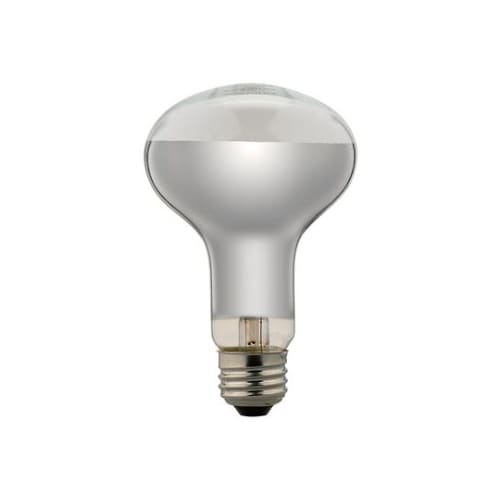 RF100V90W レフ電球100W形