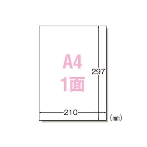 31151 ラベルシール マット紙