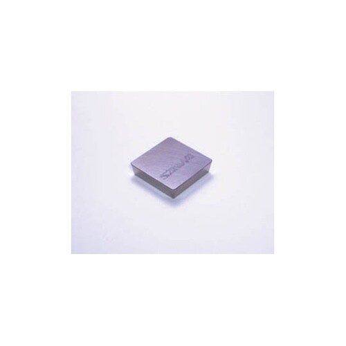 SC5KS SC5用超硬チップ(ステン)