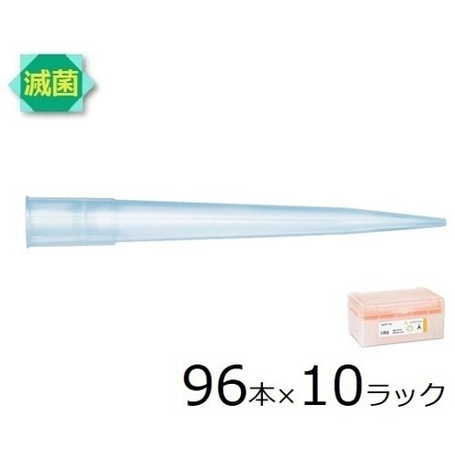 790351 スタンダードチップ