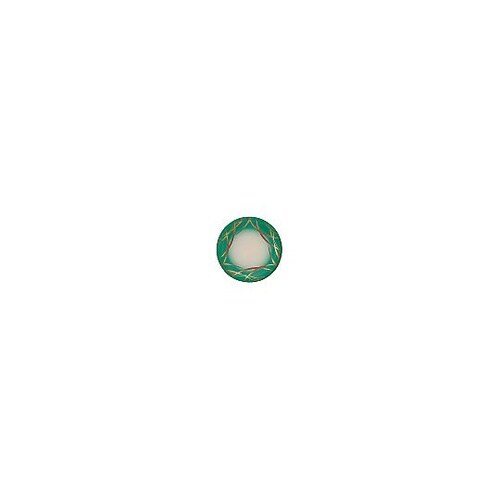 1−504−5 寿司皿 グリーンつゆ草