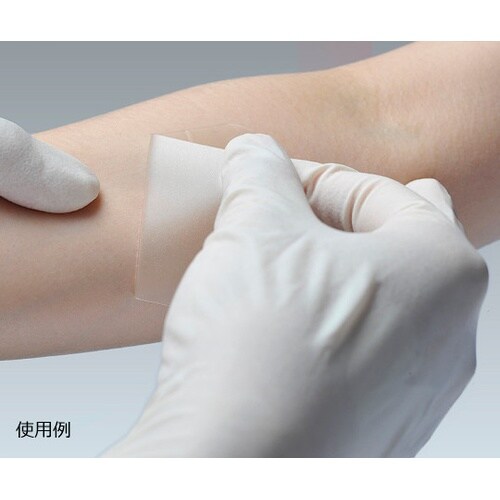 クリアヘッシブ 2号 1箱(30枚入)