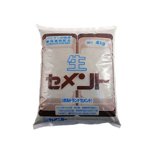 209737 生セメント 4kg グレー