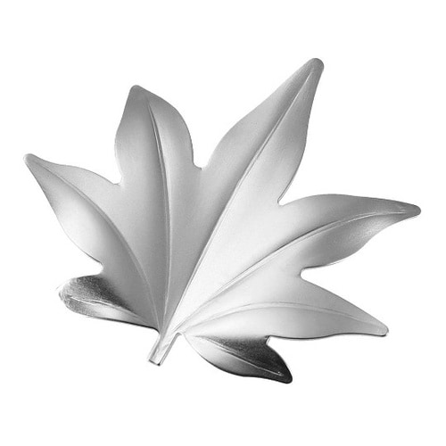 18−8 葉枝(はし)おき 紅葉 シルバ