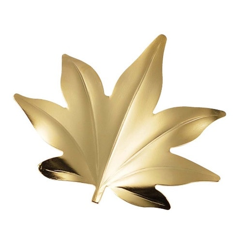 18−8 葉枝(はし)おき 紅葉 ゴール