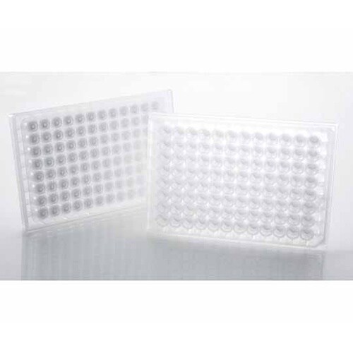 8584 フィルタープレート 10枚入