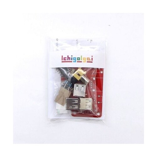 ICHIGOIGAI−KITI組立キット