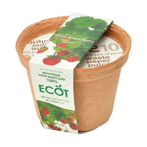 GD−41006 エコットSストロベリー