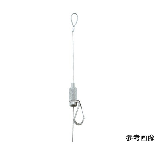 FYS30S1 ピクチャーレール