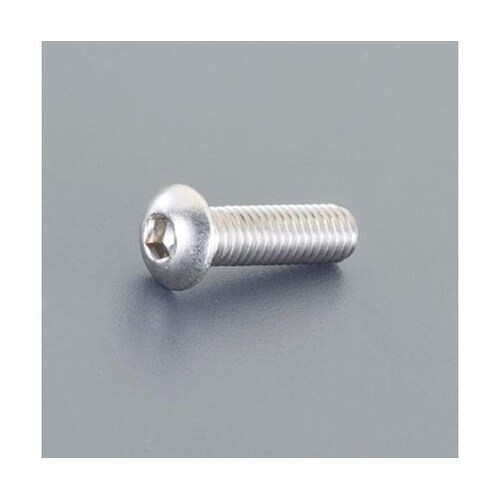 M6 x25mm 六角穴付鍋頭ボルト(ス