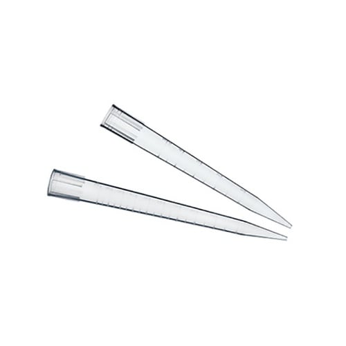 Mcro Tip(10000μL) 10