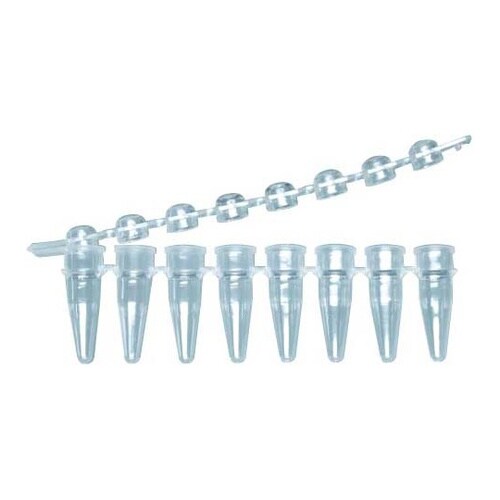 PCR 8連チューブ&8連ドームキャップ